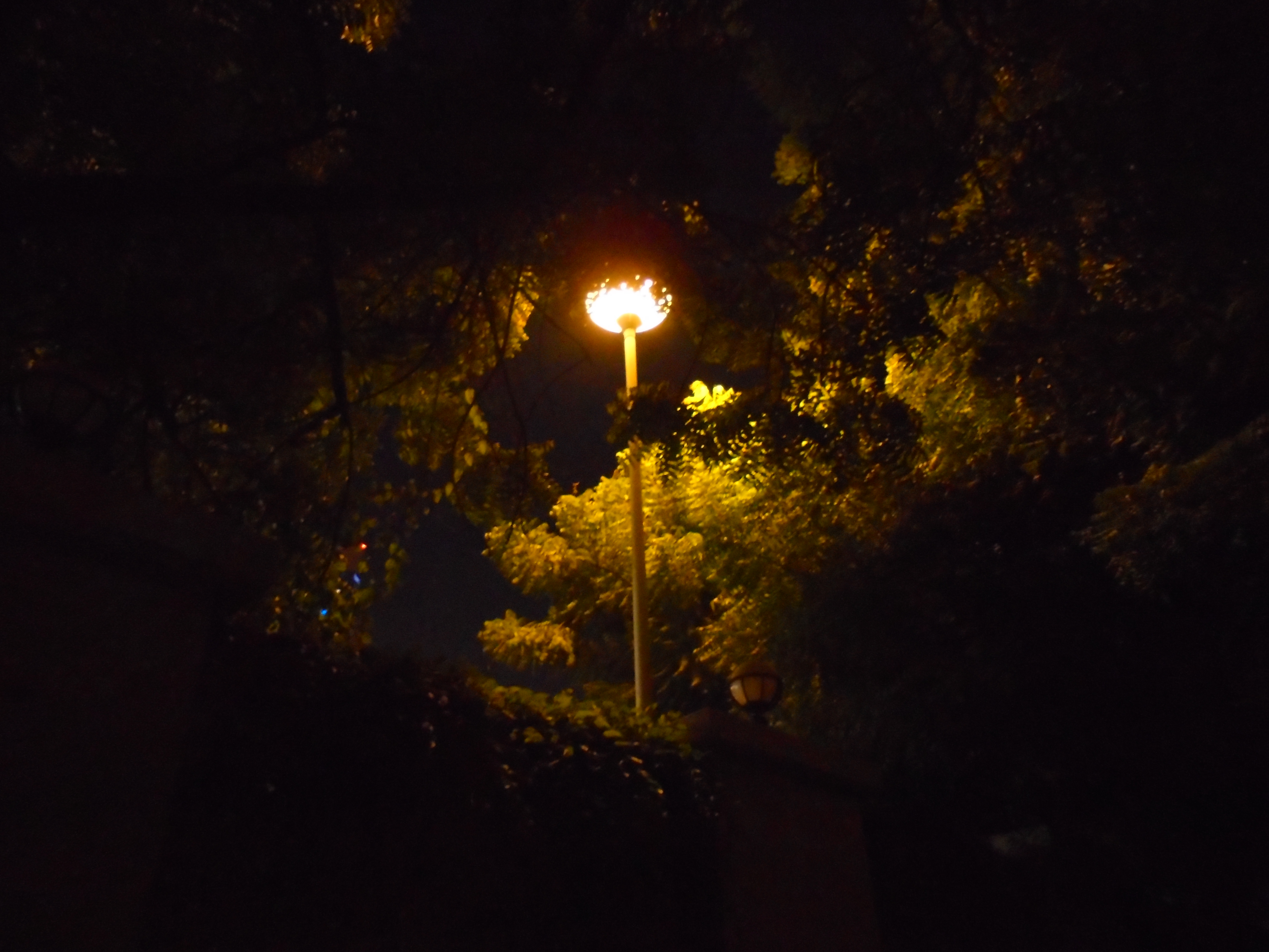 lamp